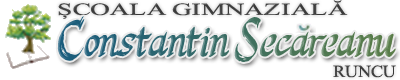 Școala Gimnazială Constantin Secăreanu Runcu